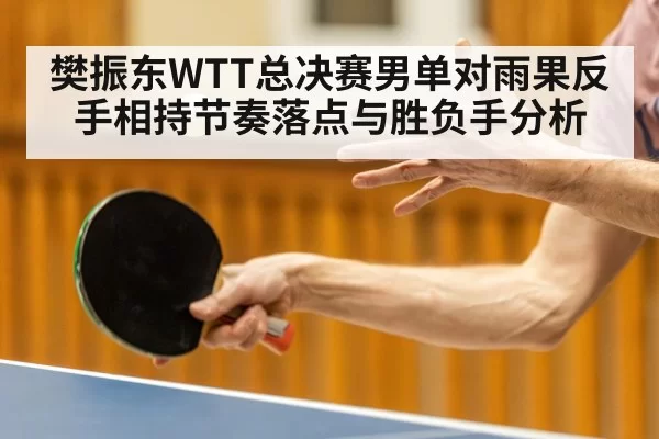樊振东WTT总决赛男单对雨果反手相持节奏落点与胜负手分析